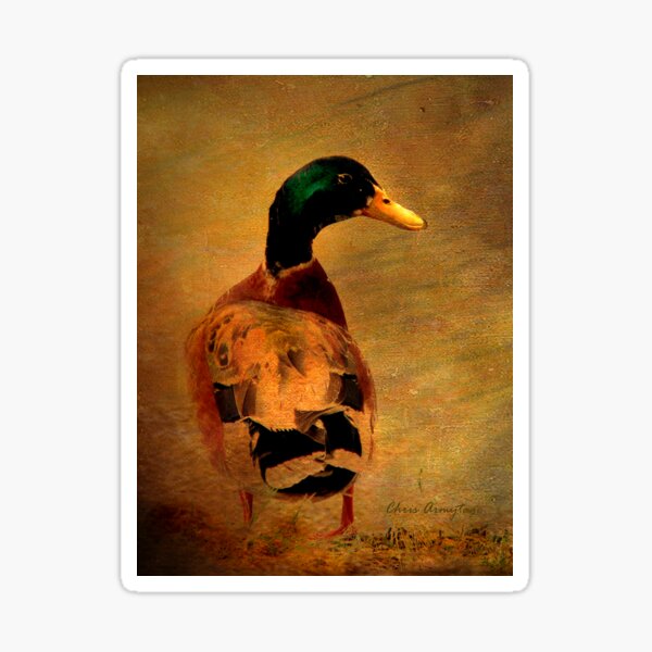 A duck ... Sticker