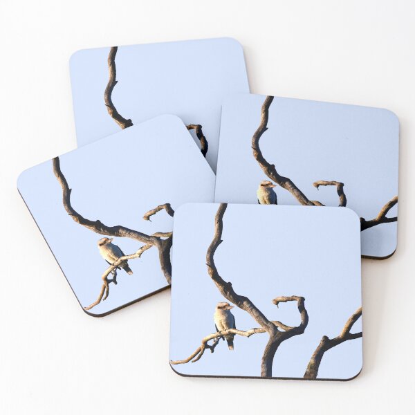 Item preview, A Kookaburra In A Bare Tree Taken At Dawn designed and sold by Jason Gilbert.