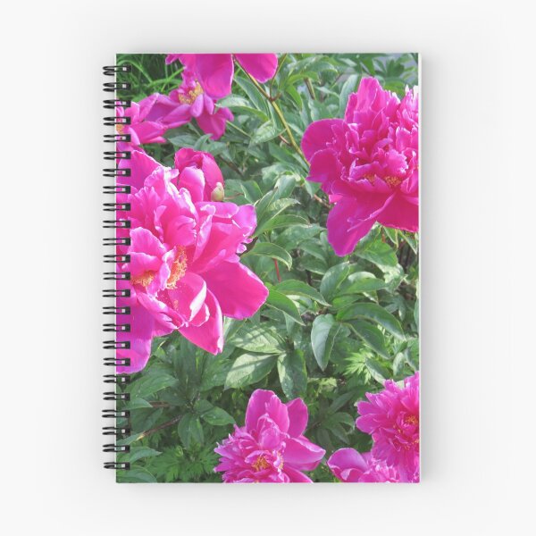 Item preview, Beautiful fuchsia pink Peony flowers designed and sold by FlowersAndMore.