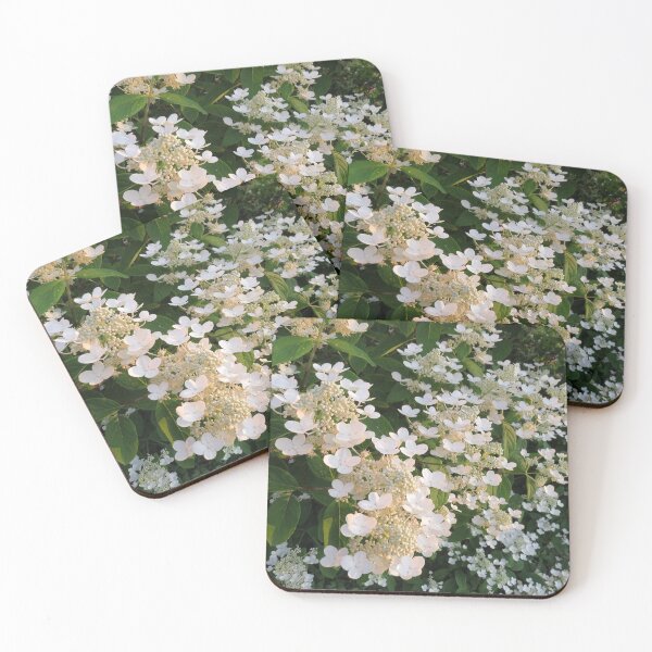 Item preview, Quick fire hydrangea flowers in the golden hour designed and sold by FlowersAndMore.