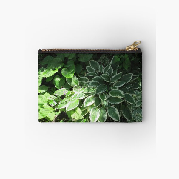 Item preview, Lovely Hosta plants designed and sold by FlowersAndMore.