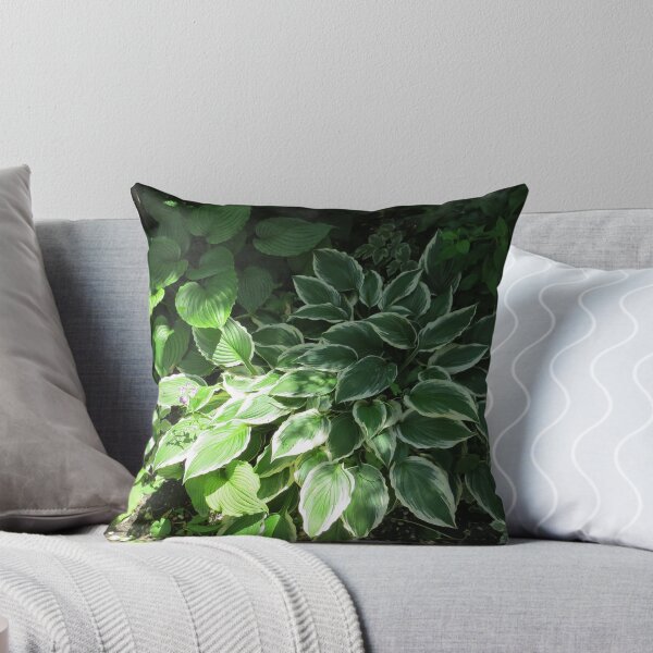 Item preview, Lovely Hosta plants designed and sold by FlowersAndMore.