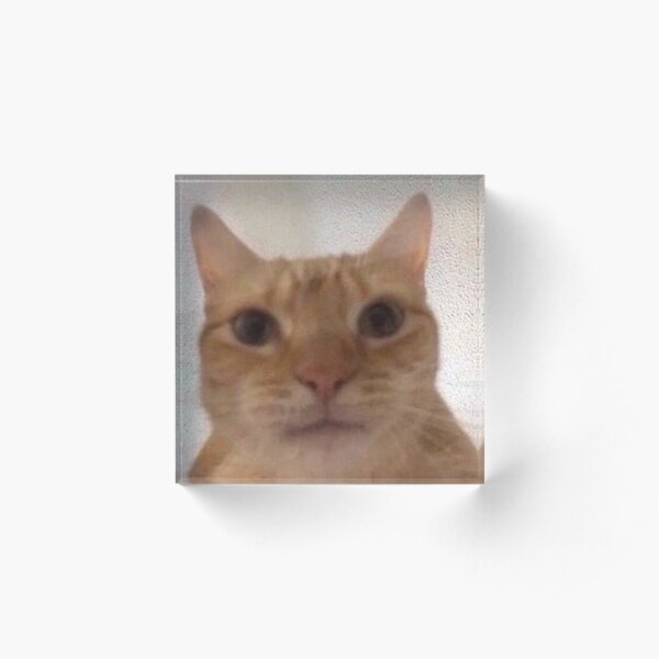 Staring Cats Eyes Acrylic Block By Qkibrat Redbubble