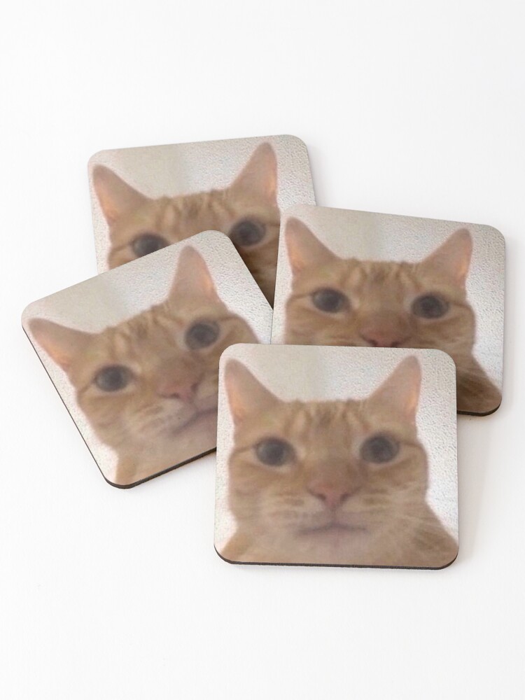 Orange Cat Meme Shirt Staring Coasters Set Of 4 By Kinabun Redbubble