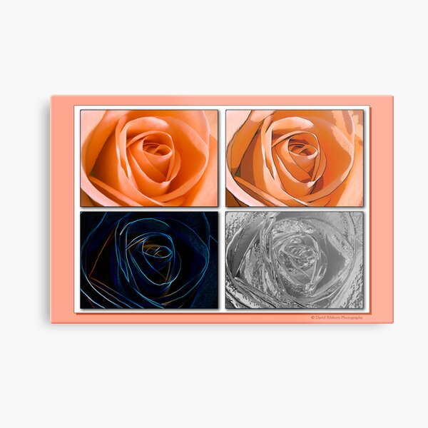 Quadraphonic Rose Metal Print