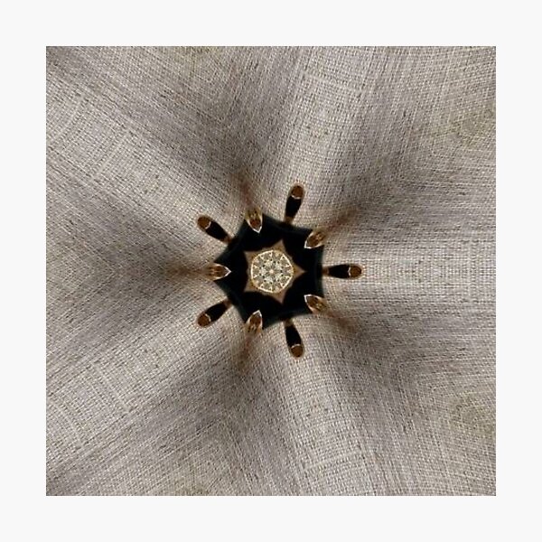 Droplet Photographic Print