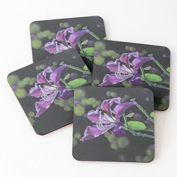 Item preview, Purple Bauhinia designed and sold by Wendy Sinclair.