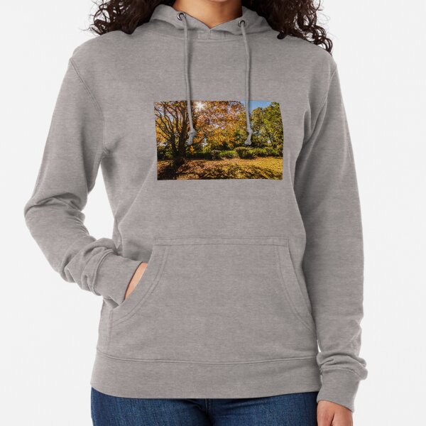 Autumn Tones Lightweight Hoodie