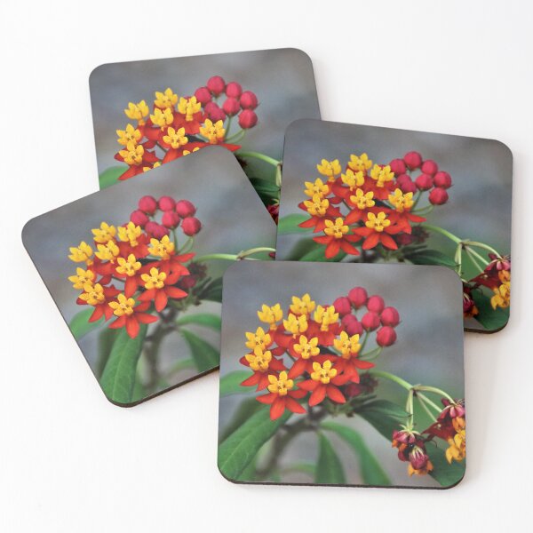 Item preview, Tiny yet Vibrant designed and sold by Selah Images.