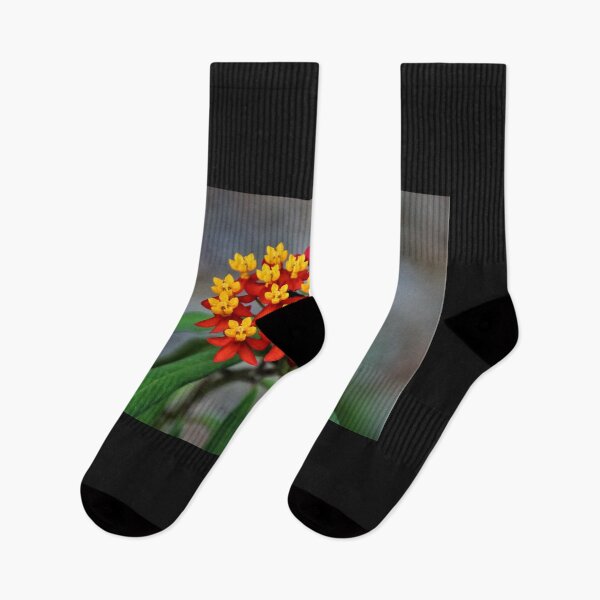Item preview, Tiny yet Vibrant designed and sold by Selah Images.