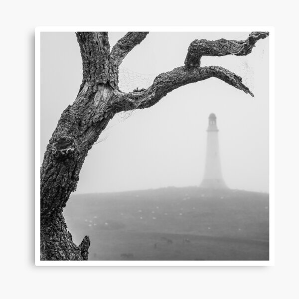 Misty Hoad Canvas Print