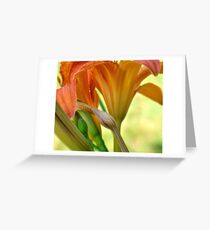 Lensbaby 1 Greeting Card