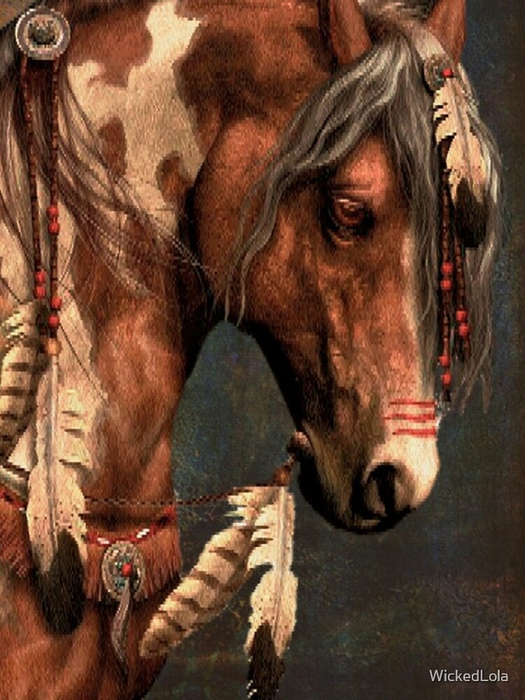 Disover War Horse - Native American Painted Horse iPhone Case