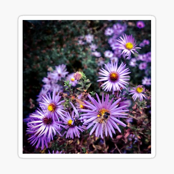 Purple Wildflowers With Bumble Bee Sticker