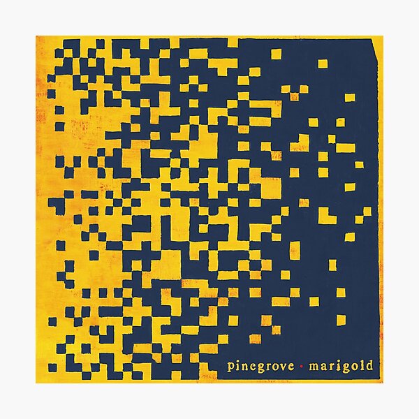 Marigold album Pinegrove Photographic Print