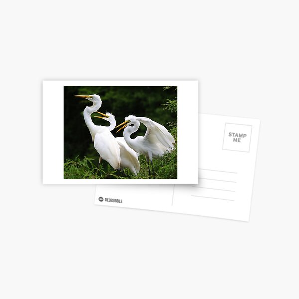 Item preview, Mama Egret with her Babies designed and sold by Paulette1021.