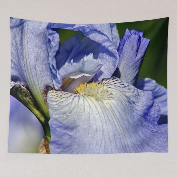 Item preview, Blue Iris Macro designed and sold by AnnDixon.