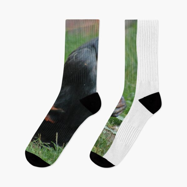 Item preview, Chimpancé abrazando al pequeño designed and sold by AnnDixon.