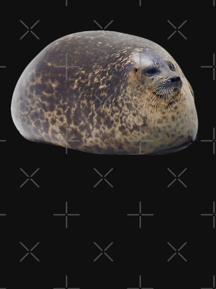 chubby seal