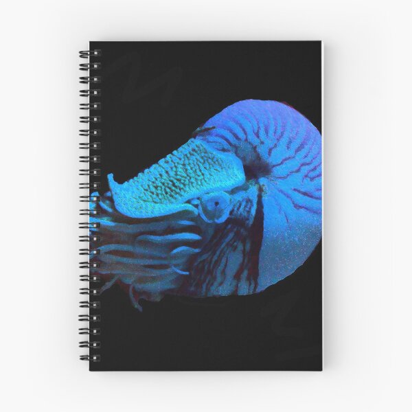 Item preview, Nautilus designed and sold by Jayson Gaskell Photography.