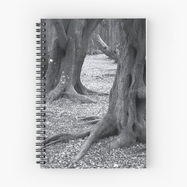 Item preview, West Woods of Ethie: Depth 1 designed and sold by ShinyPhoto.