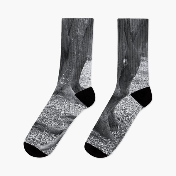 Item preview, West Woods of Ethie: Depth 1 designed and sold by ShinyPhoto.