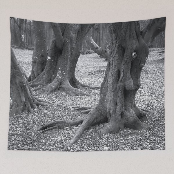 Item preview, West Woods of Ethie: Depth 1 designed and sold by ShinyPhoto.
