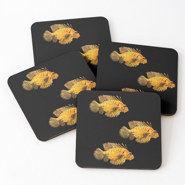 Item preview, 3LF designed and sold by Jayson Gaskell Photography.