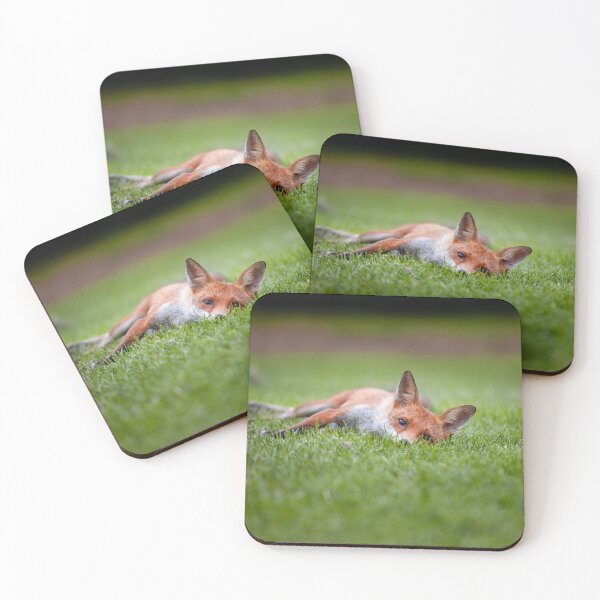 Item preview, Campus Fox designed and sold by Ben Porter Photography.