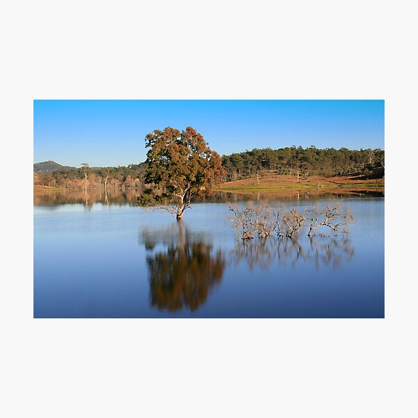 Wyaralong reflection Photographic Print