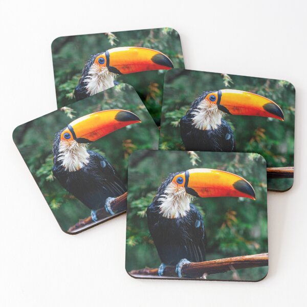Item preview, Toucan Play designed and sold by Ben Porter Photography.