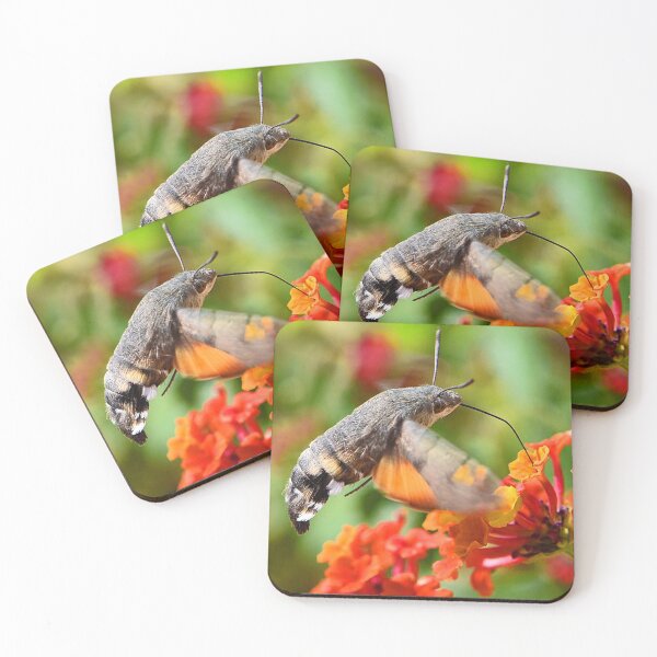 Item preview, Hummingbird Moth (MKW-I.55) designed and sold by Katrina Morgan.