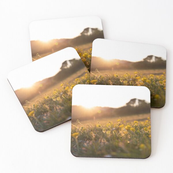 Item preview, British Buttercup designed and sold by Ben Porter Photography.