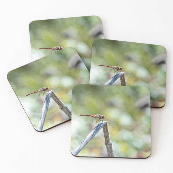 Item preview, Dragonfly designed and sold by Ben Porter Photography.