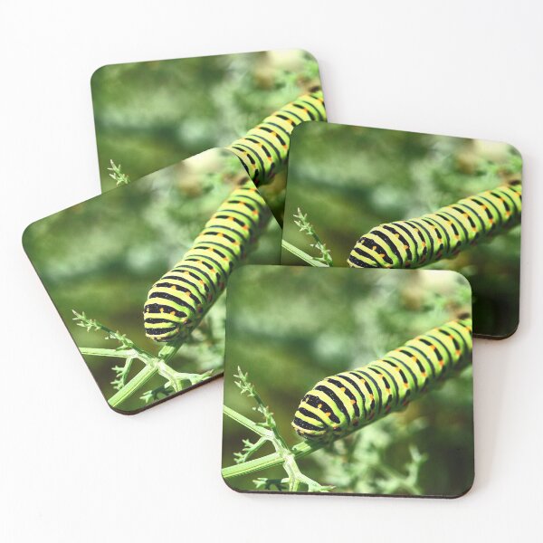 Item preview, Swallowtail Caterpillar (MKW-I.61) designed and sold by Katrina Morgan.