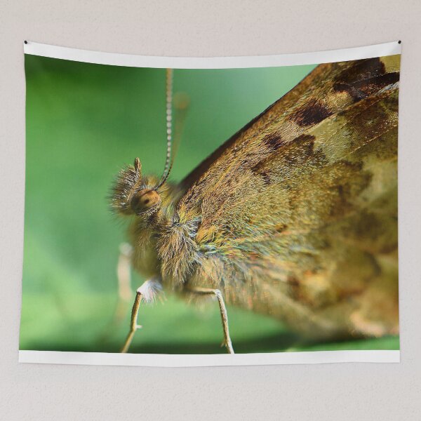 Item preview, Wall Brown Butterfly (MKW-I.59) designed and sold by Katrina Morgan.