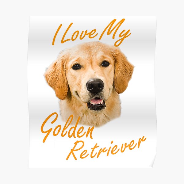 I Love My Golden Retriever Poster By Sadsacdesigns Redbubble