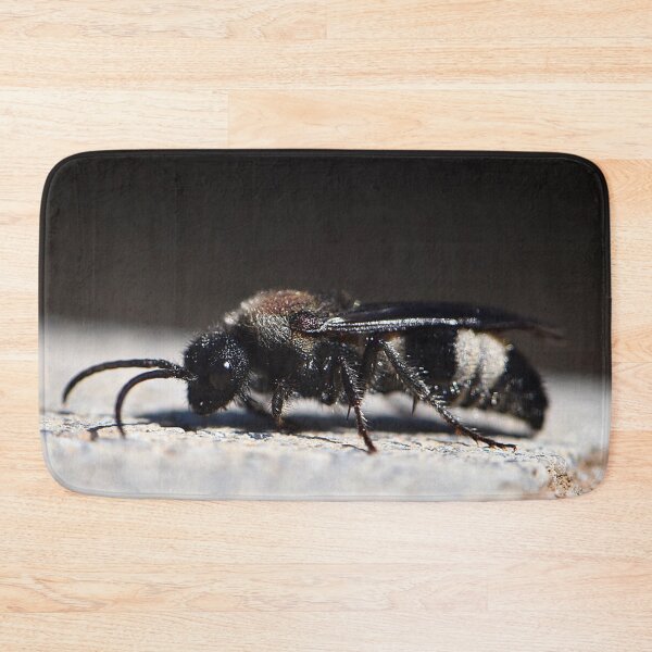 Item preview, Velvet Ant (MKW-I.57) designed and sold by Katrina Morgan.