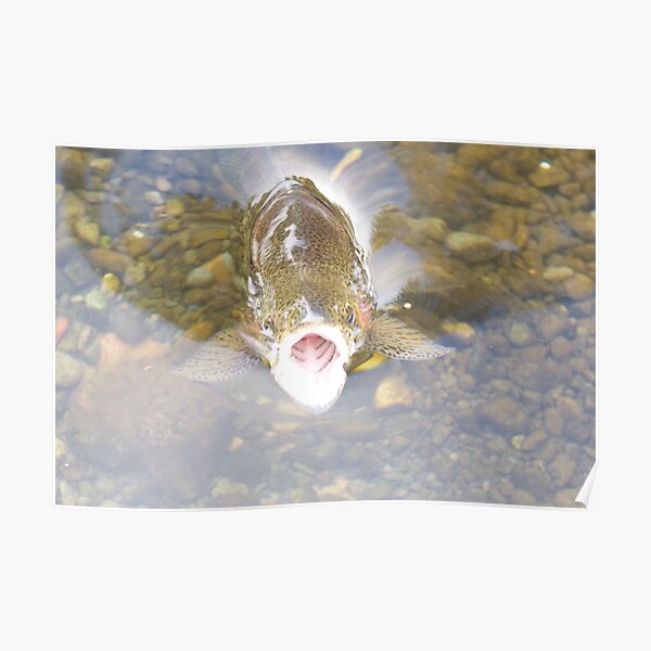 Untitled Poster