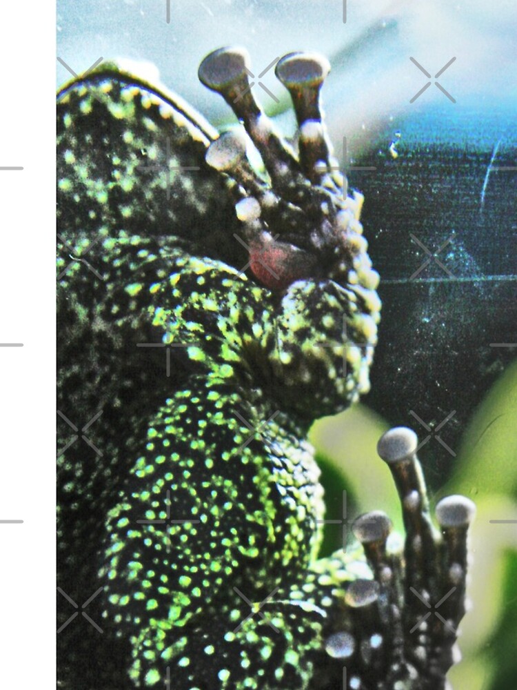 Thumbnail 5 of 5, iPhone Case, Bullfrog designed and sold by alipascal.