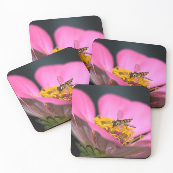 Item preview, Fly on a Flower designed and sold by Mike Cicero.
