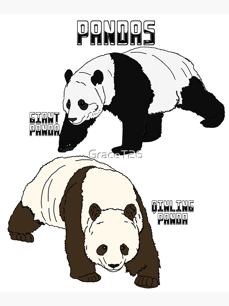 Panda☆ DUNK LOW RETRO SE 