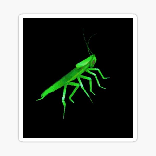 Roach Meme Gifts Merchandise Redbubble - dancing cockroach roblox