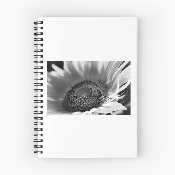 Item preview, Monochrome Sunflower and Bee designed and sold by alipascal.