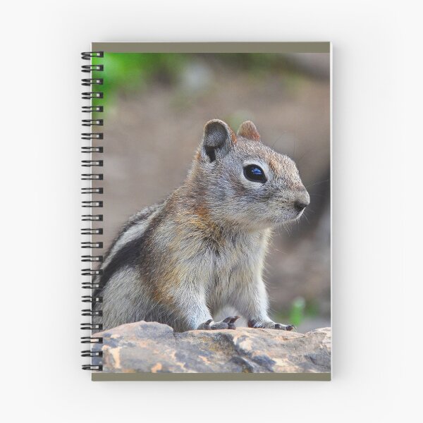 Item preview, Golden-Mantled Ground Squirrel designed and sold by Karen Peron.