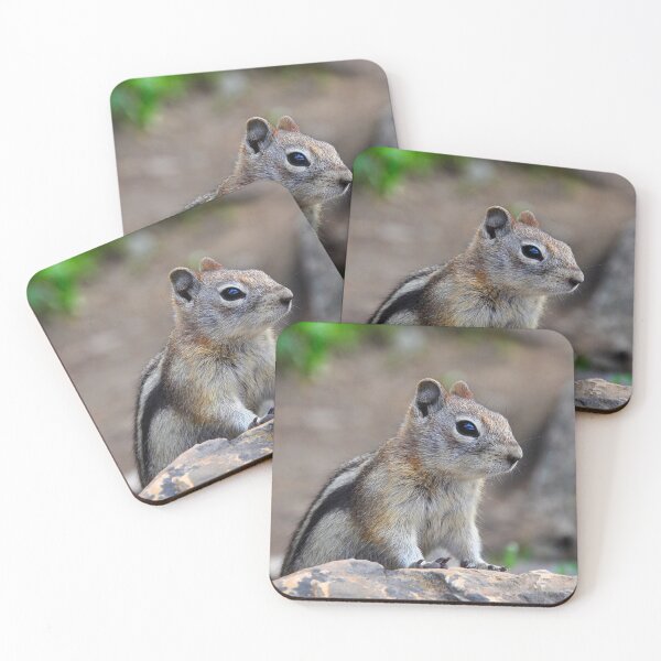 Item preview, Golden-Mantled Ground Squirrel designed and sold by Karen Peron.