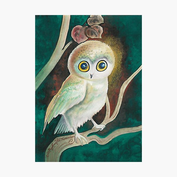 Elf Owl Photographic Print