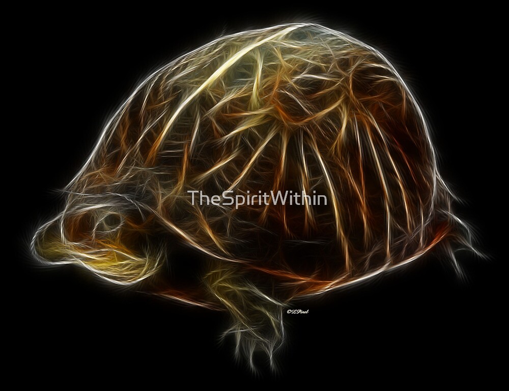 "Medicine Wheel Totem Animals by Liane Pinel Turtle" by Liane Pinel