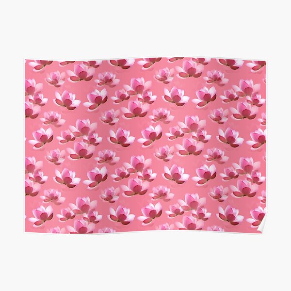 Pink White Flower Petals Poster