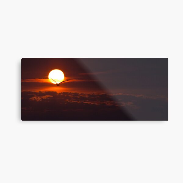 Lake Ontario sunrise Metal Print